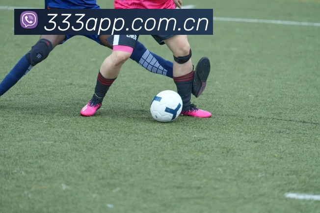 333体育app下载APP 封面图